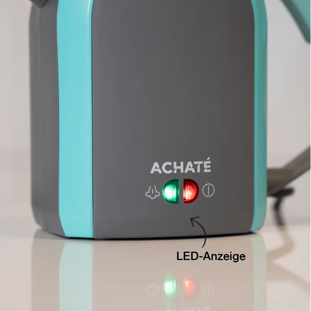 Achaté 12-in-1-Dampfreiniger